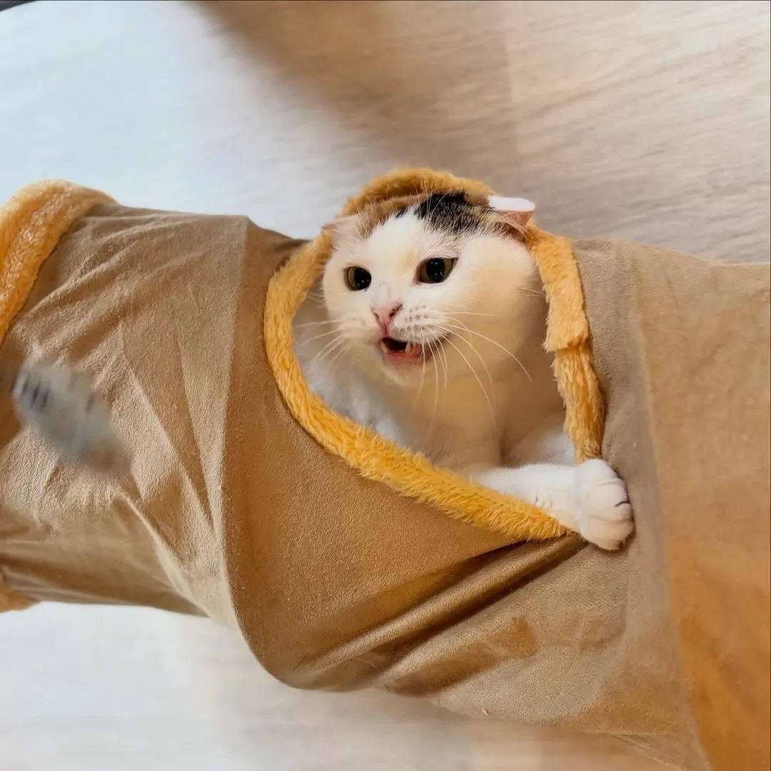 投稿の写真2