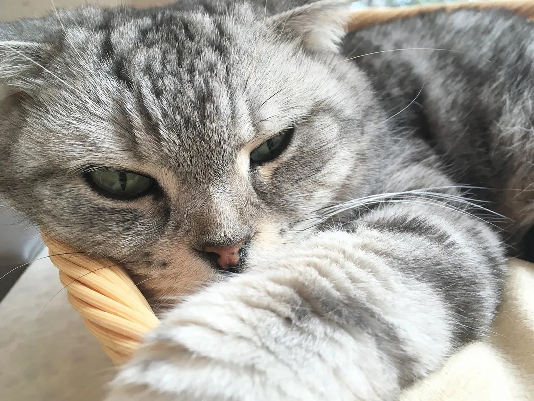 投稿の写真2