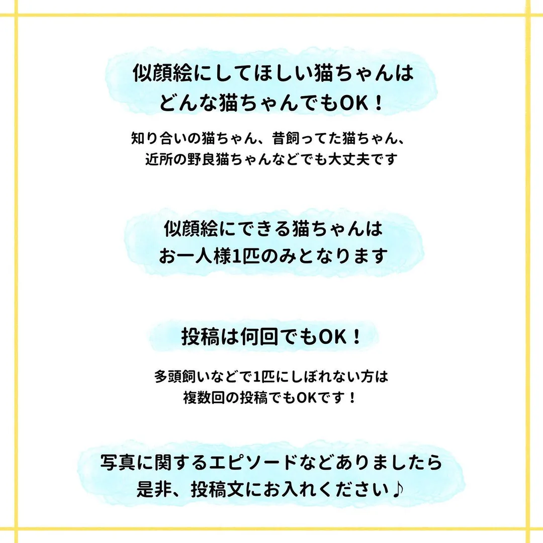 投稿の写真4