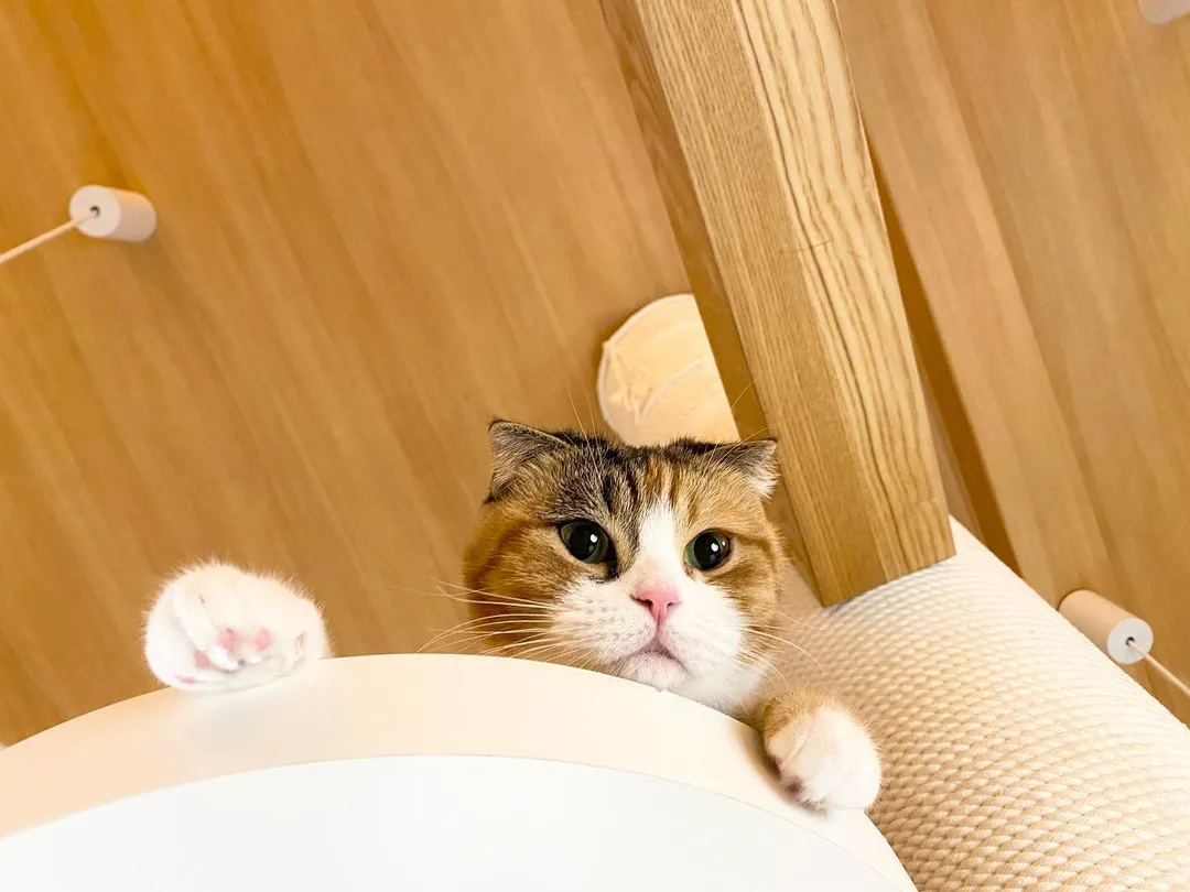 投稿の写真4