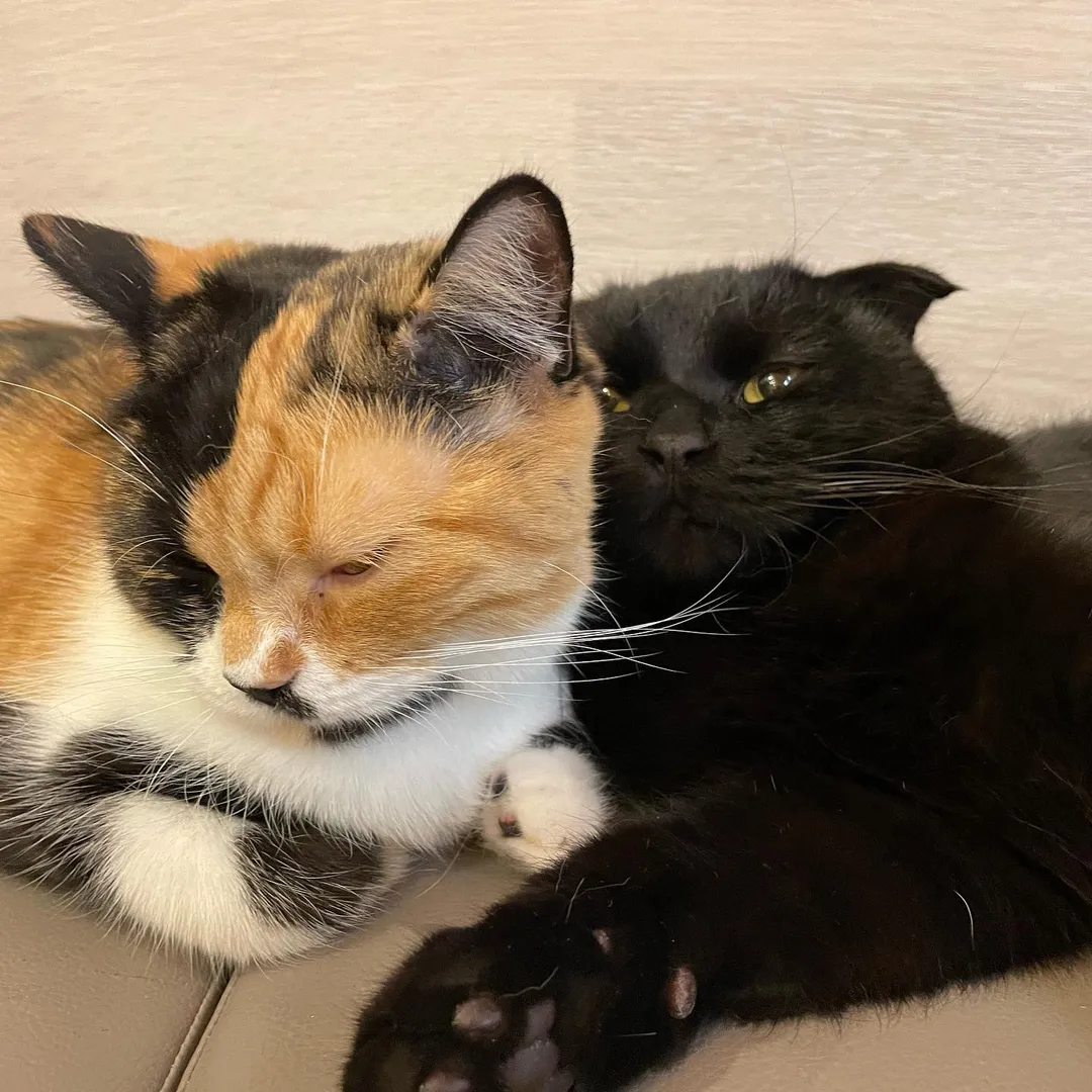 投稿の写真2
