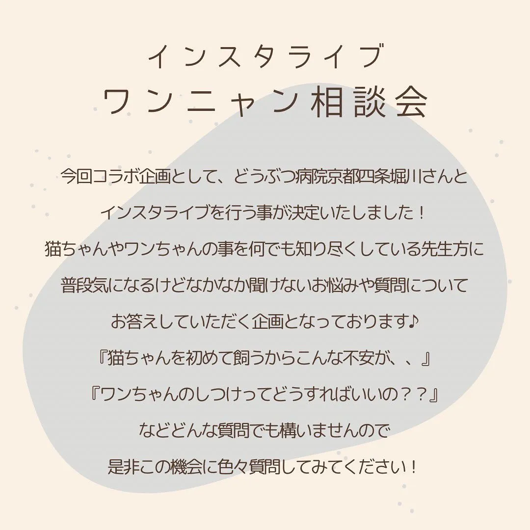 投稿の写真2