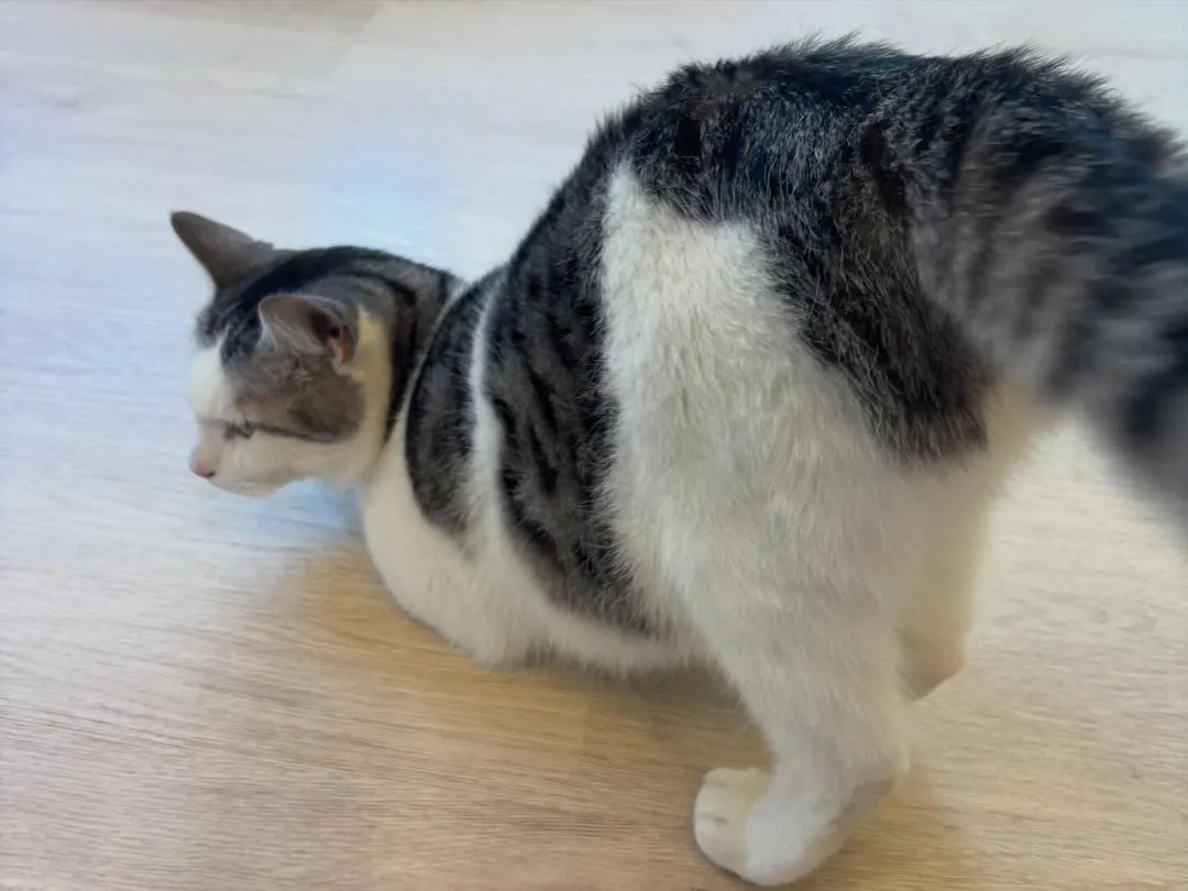 投稿の写真3