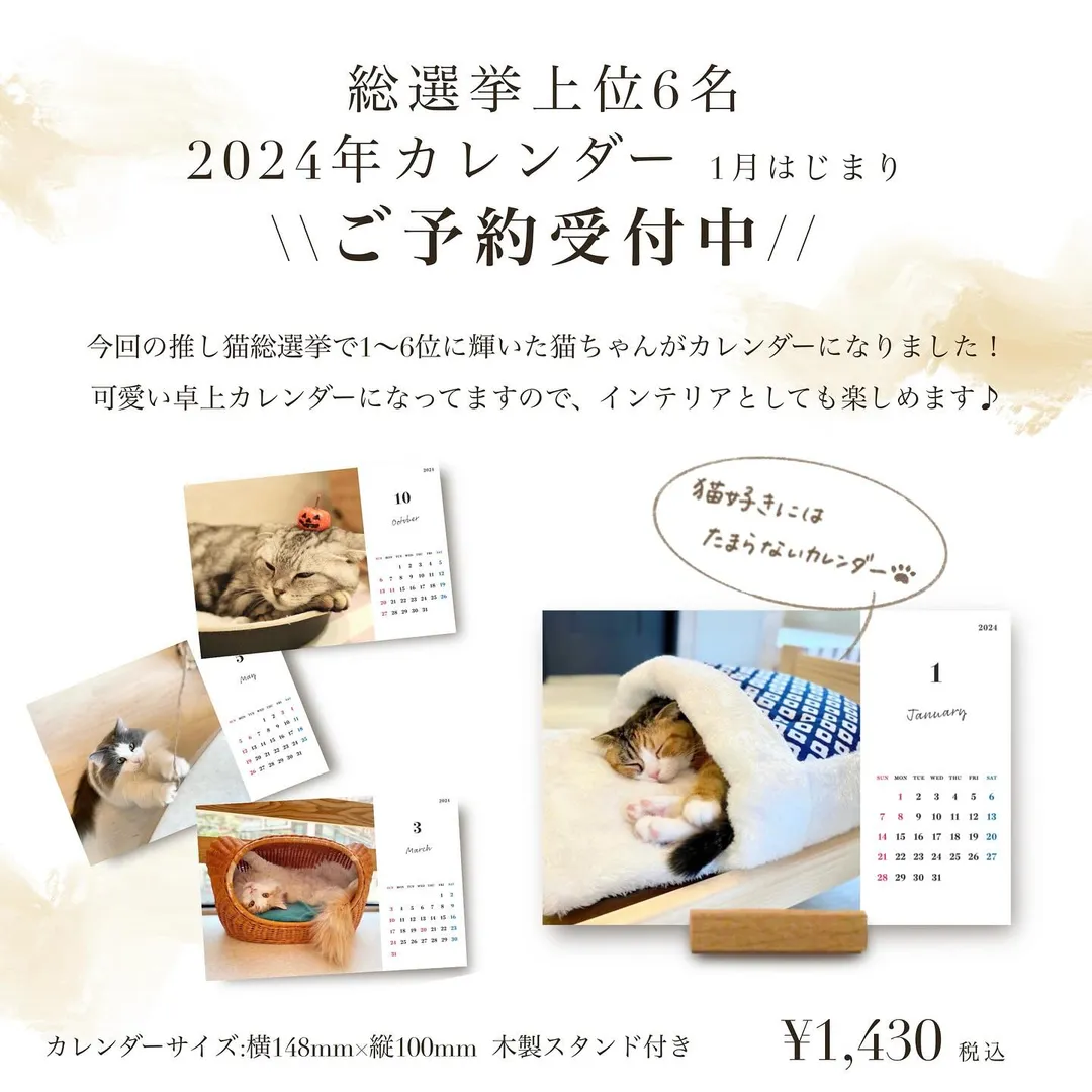 投稿の写真1