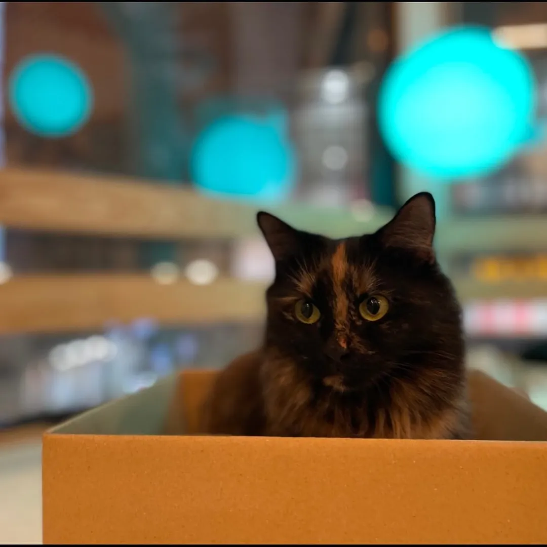 投稿の写真5