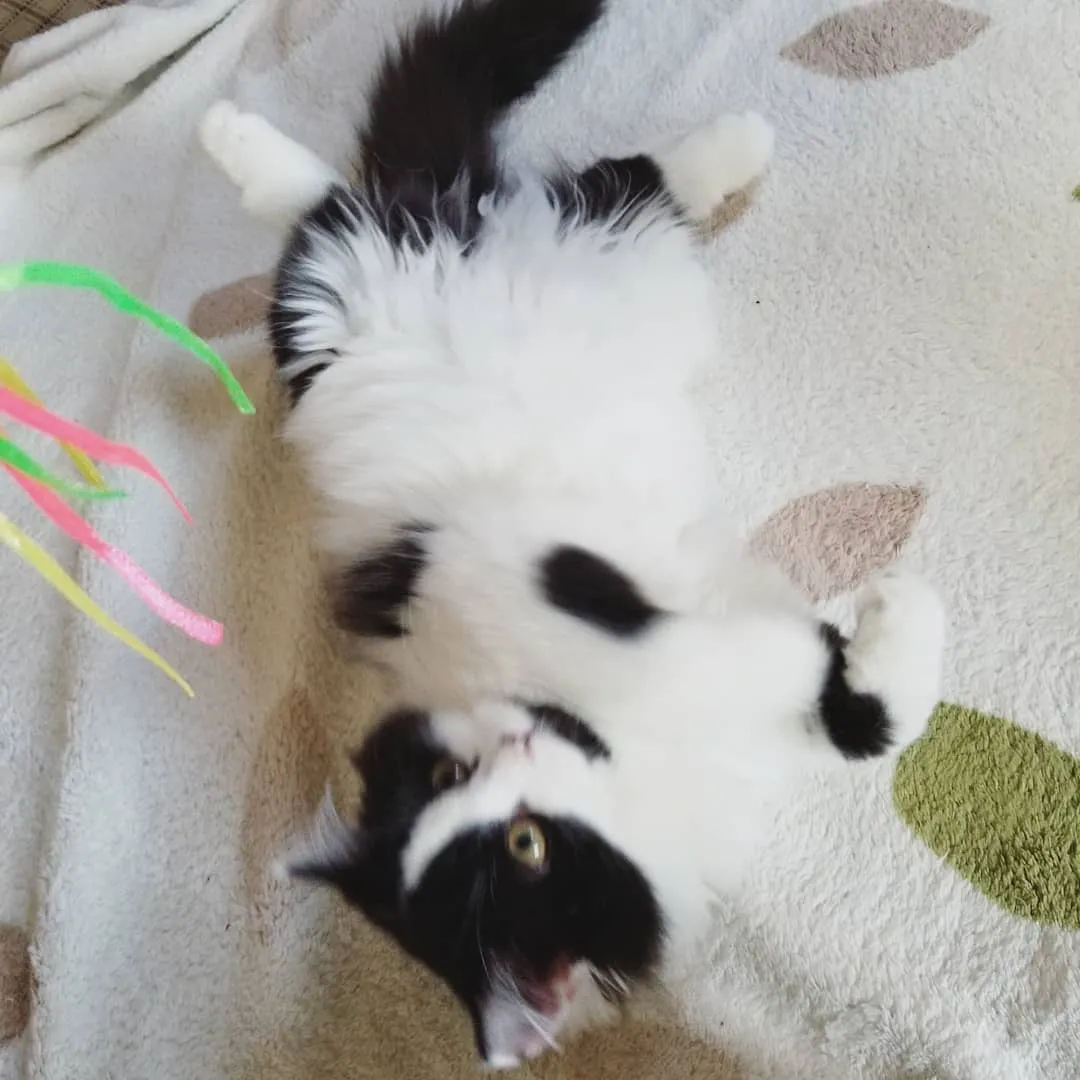 投稿の写真3