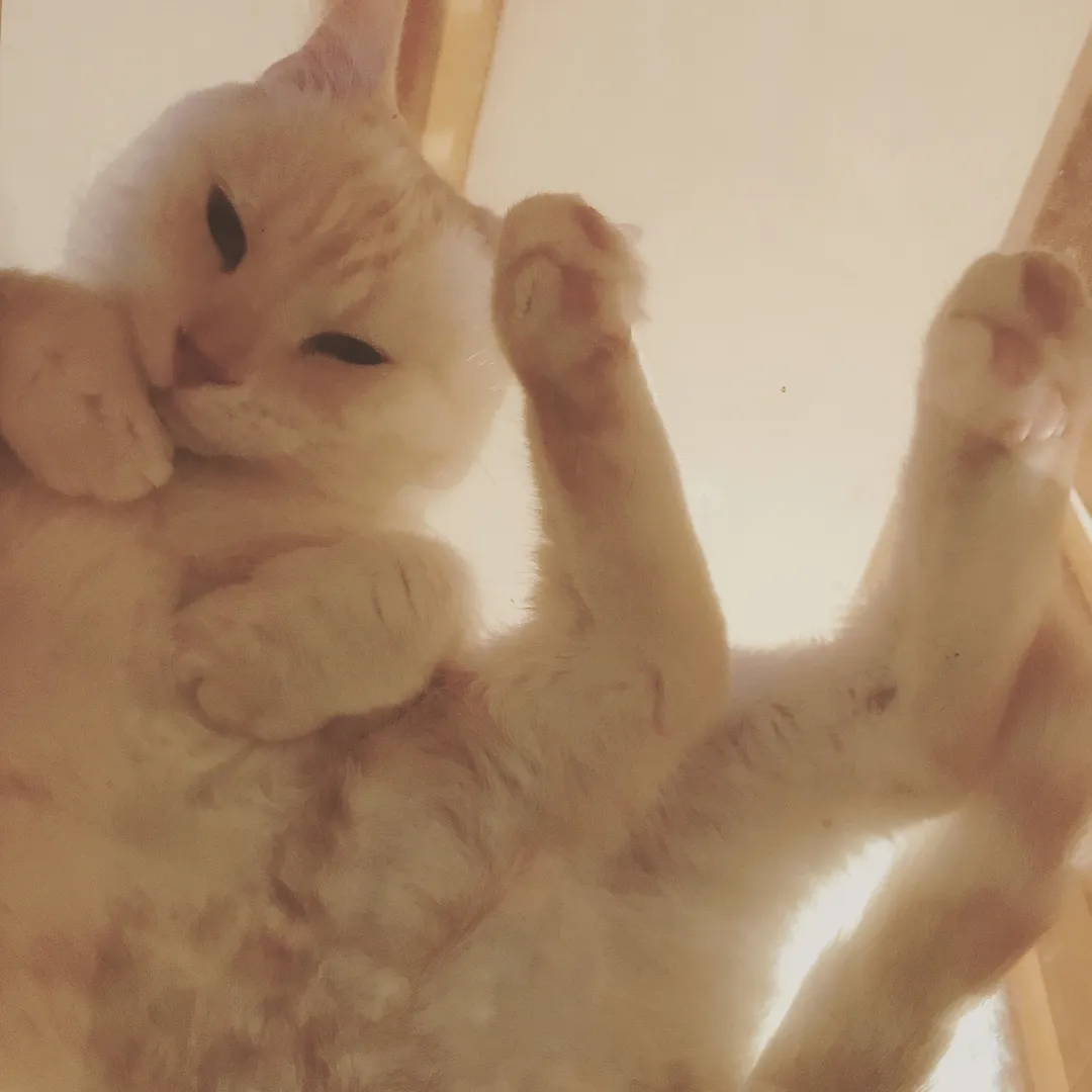 投稿の写真4