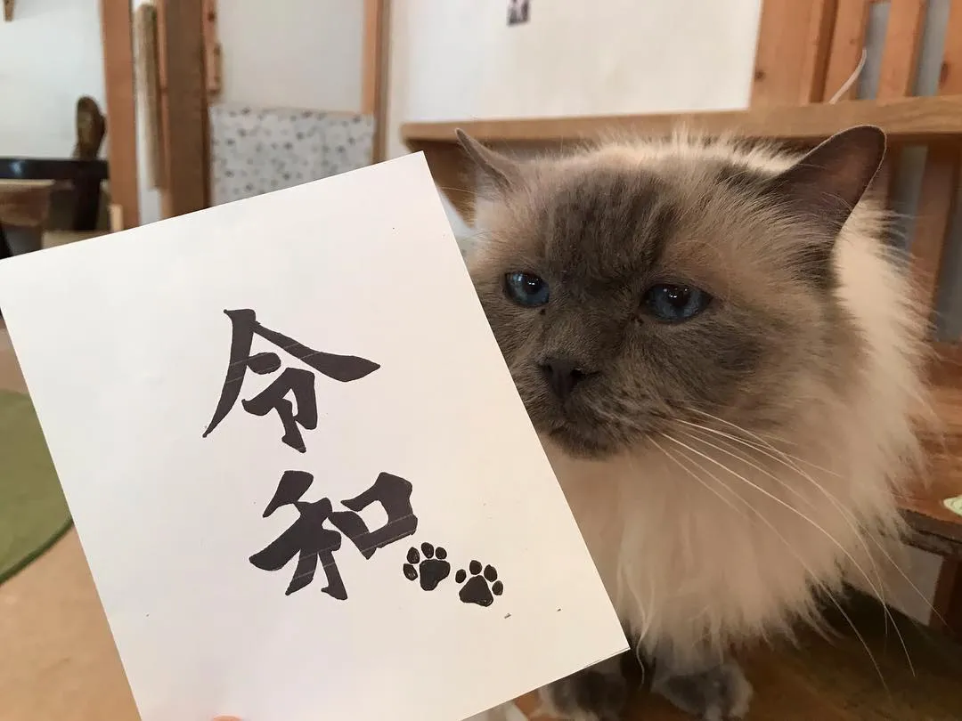 投稿の写真2
