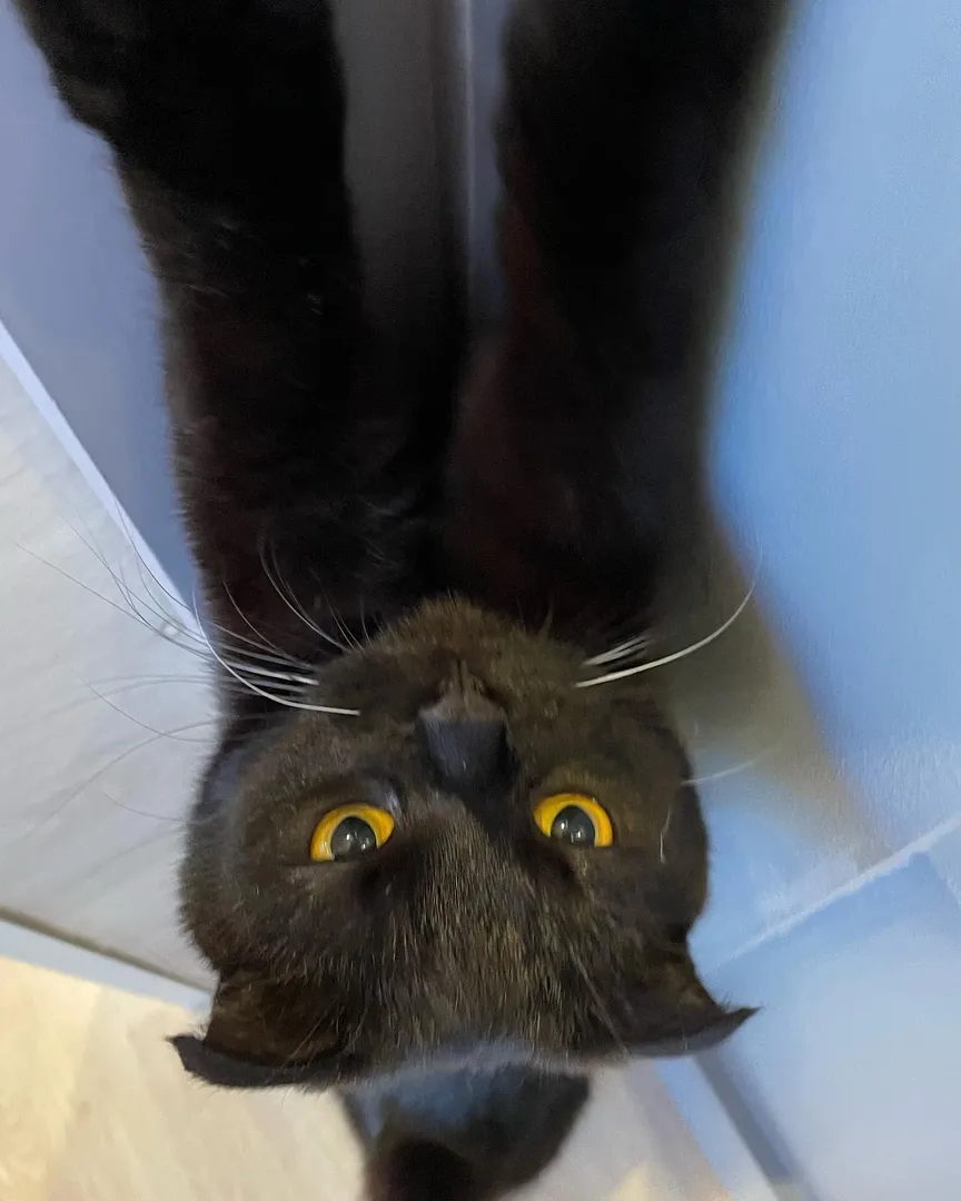 投稿の写真3