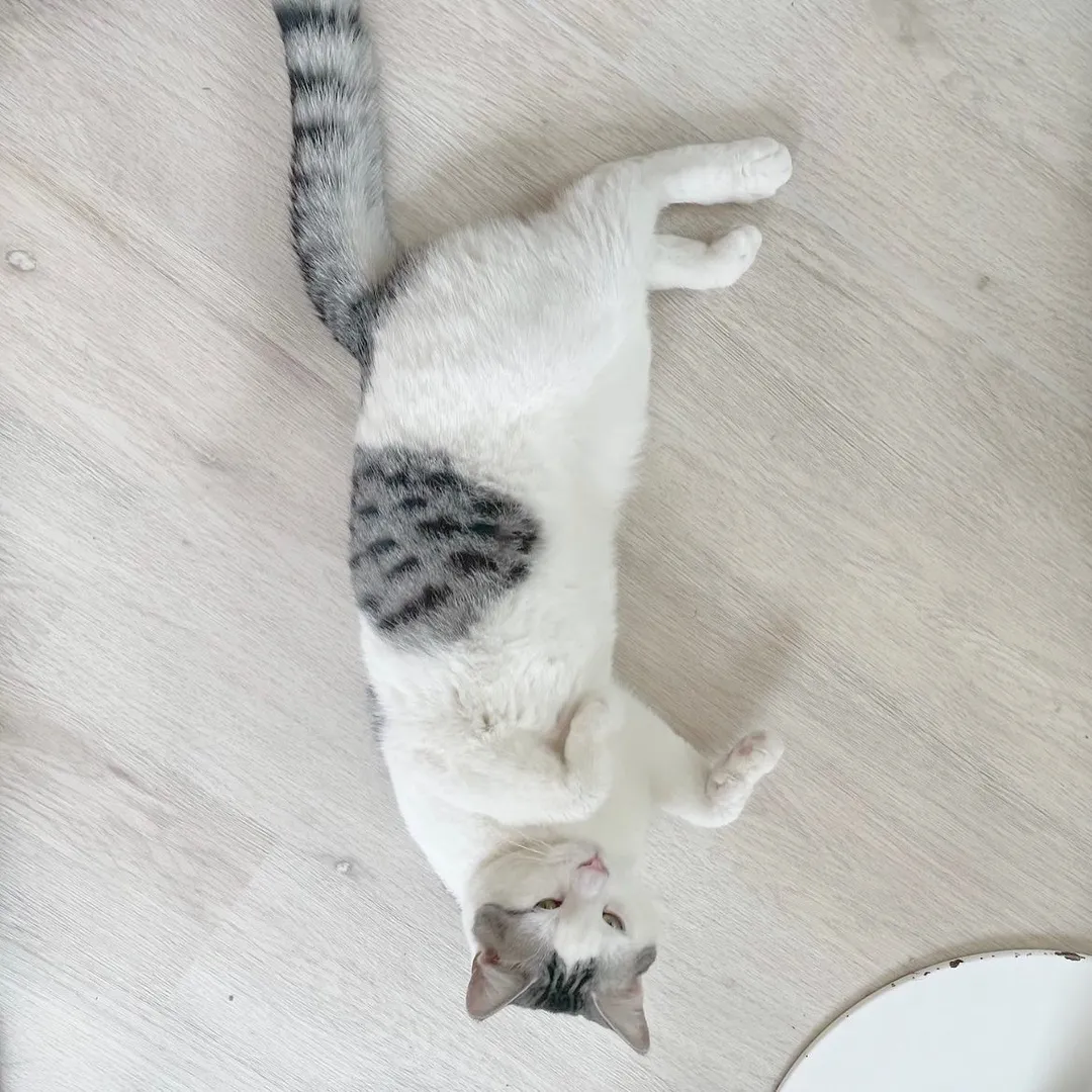 投稿の写真4