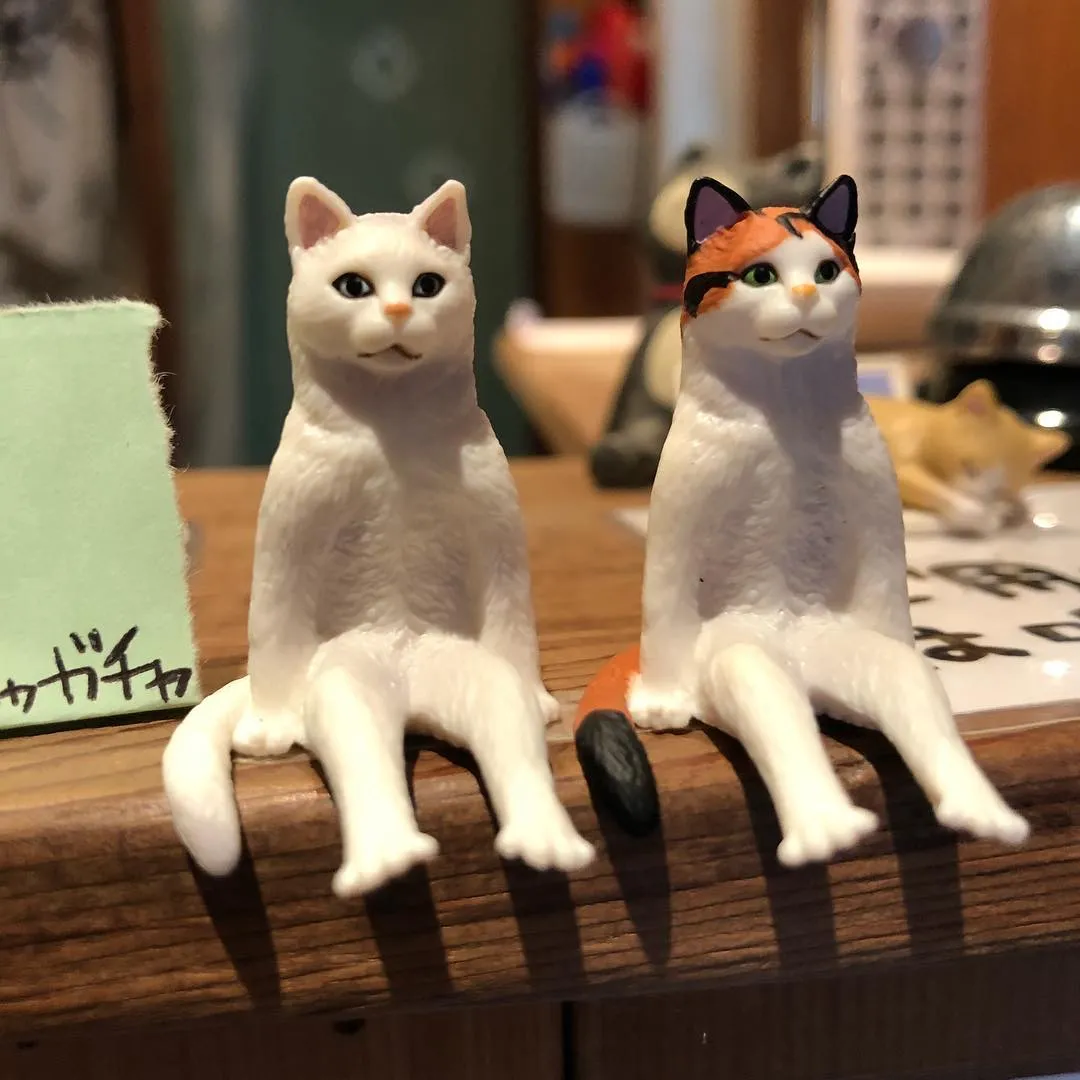 投稿の写真2