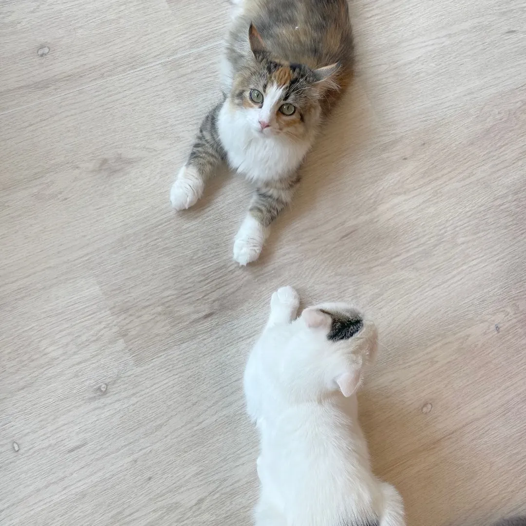 投稿の写真1