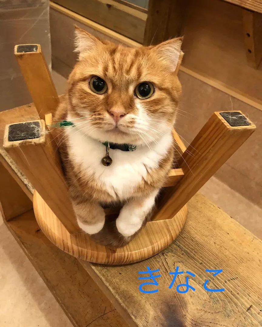 投稿の写真2
