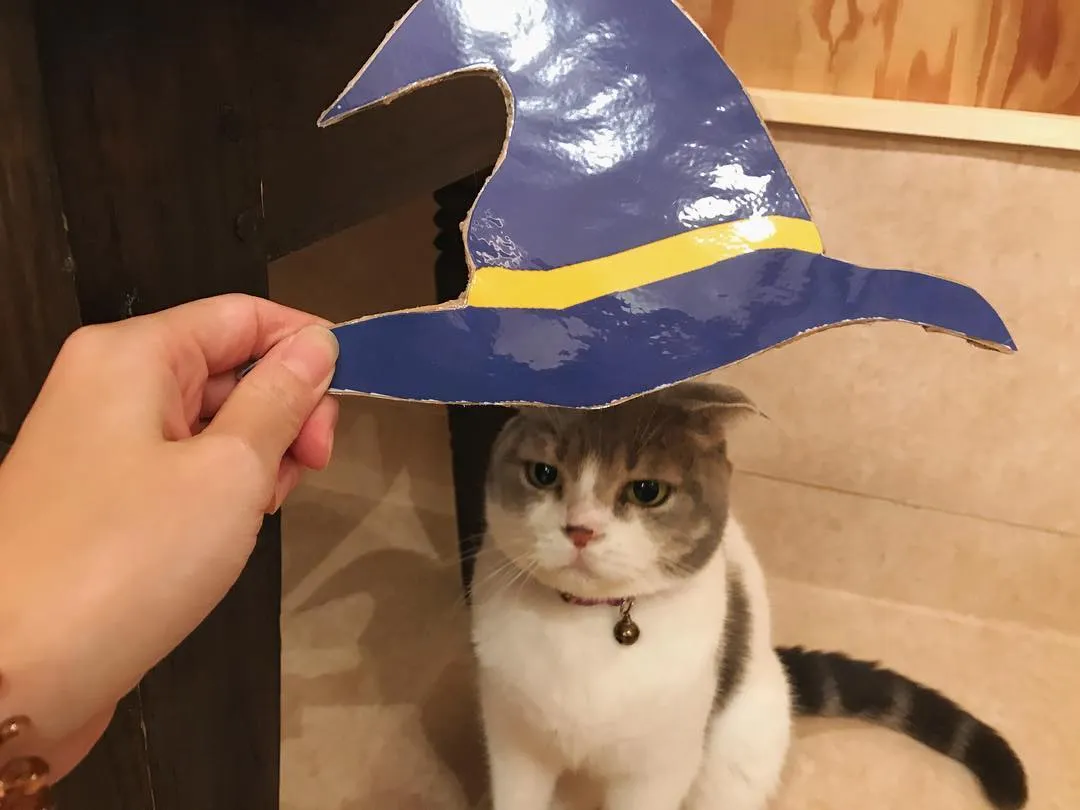 投稿の写真5