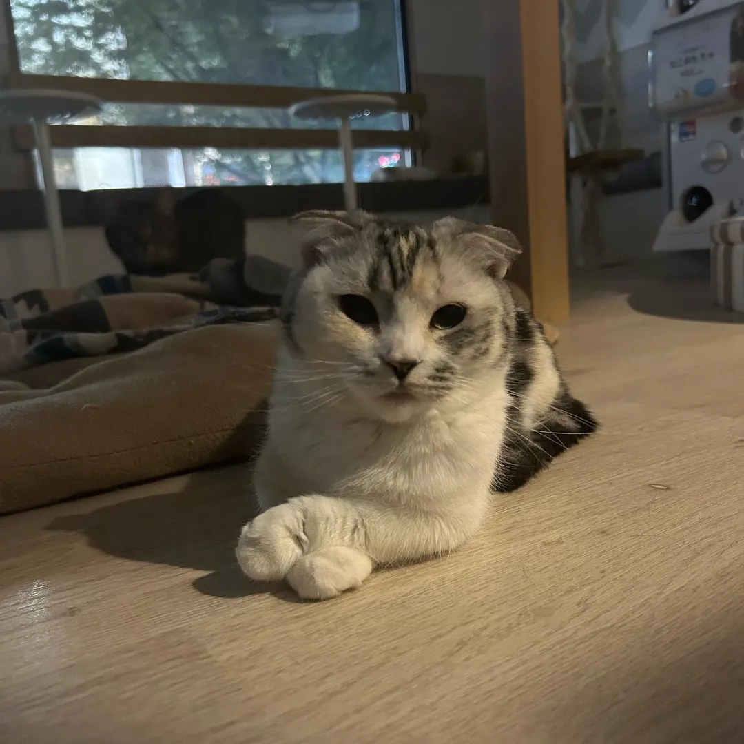 投稿の写真2