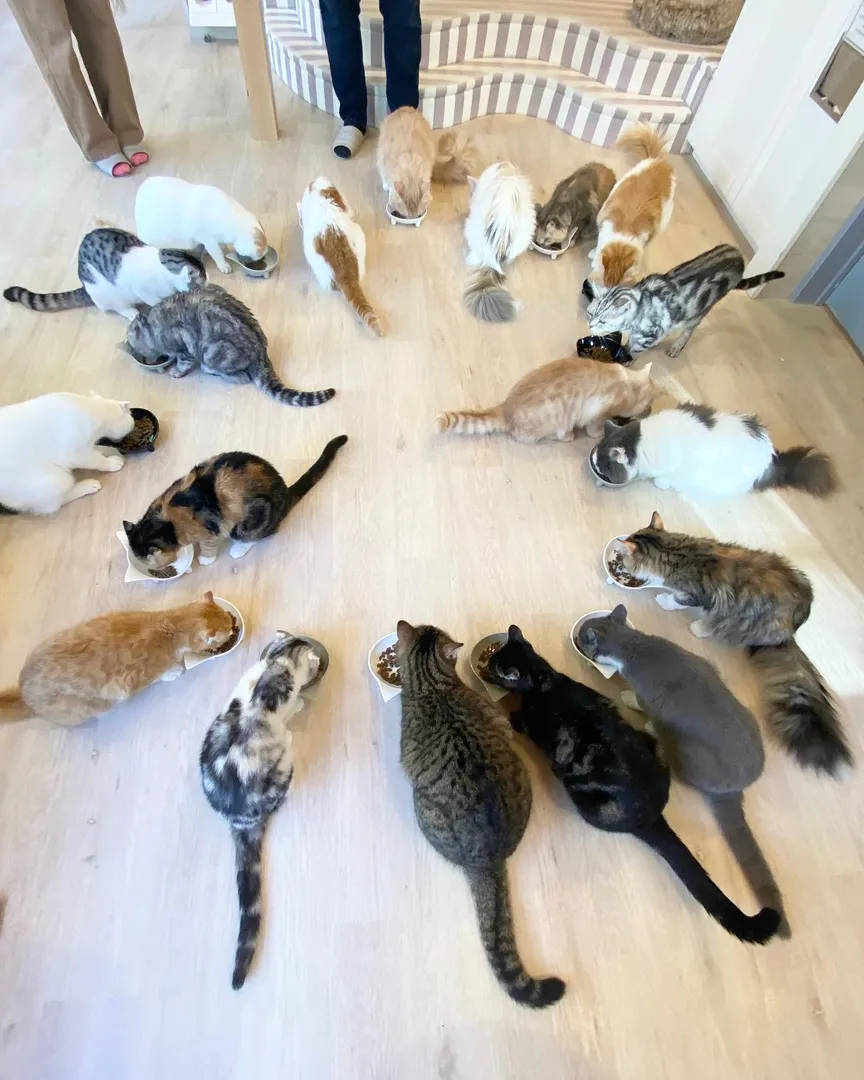 投稿の写真