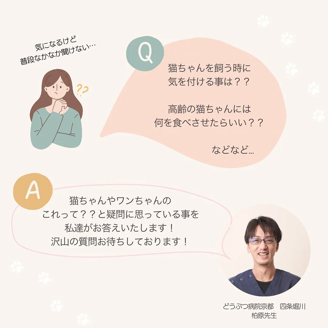 投稿の写真3