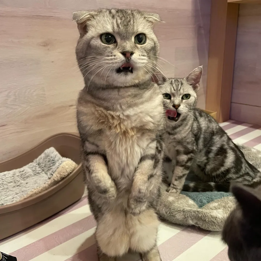 投稿の写真1