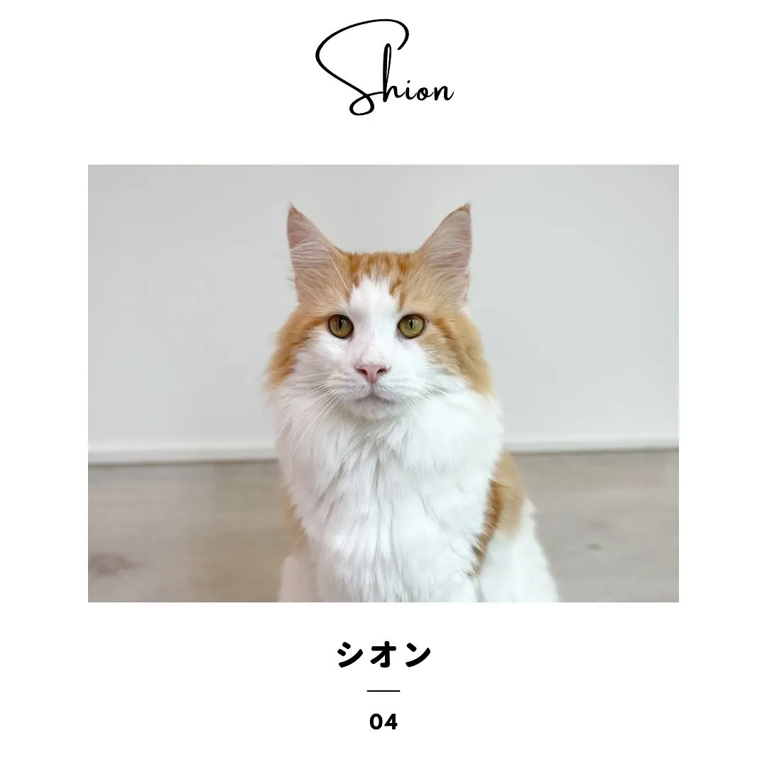 投稿の写真6