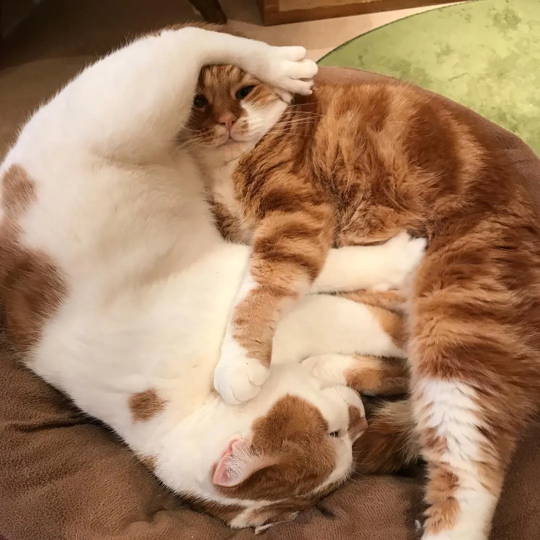 投稿の写真2