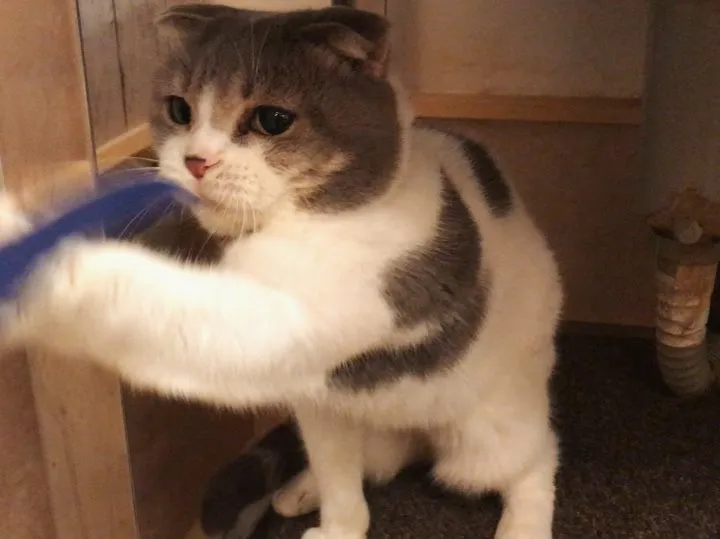 投稿の写真6