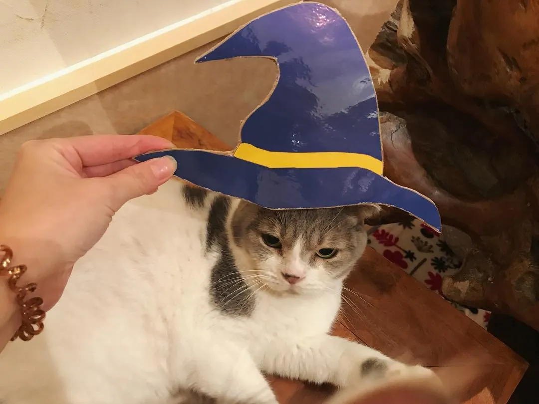 投稿の写真2