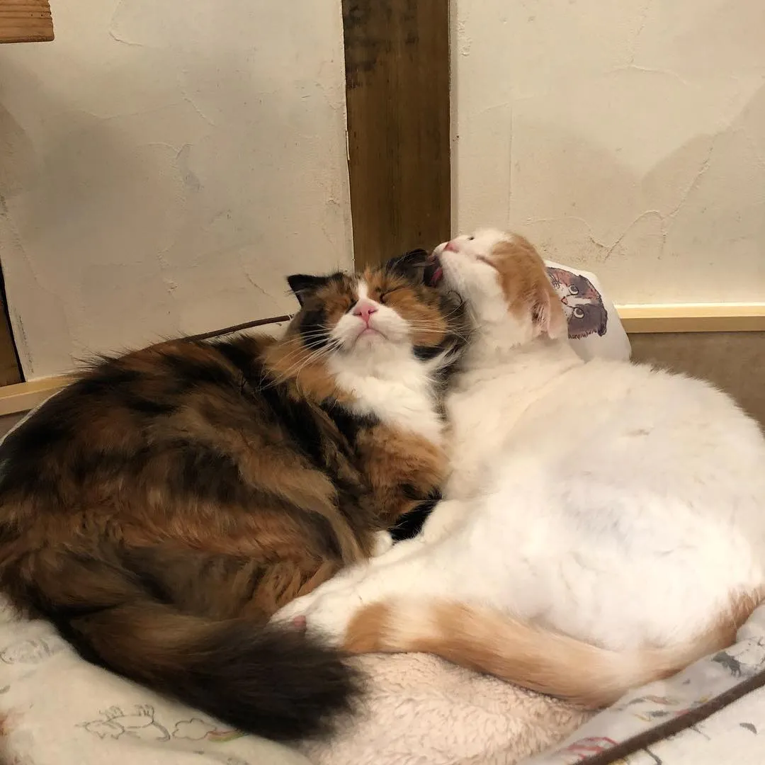 投稿の写真3