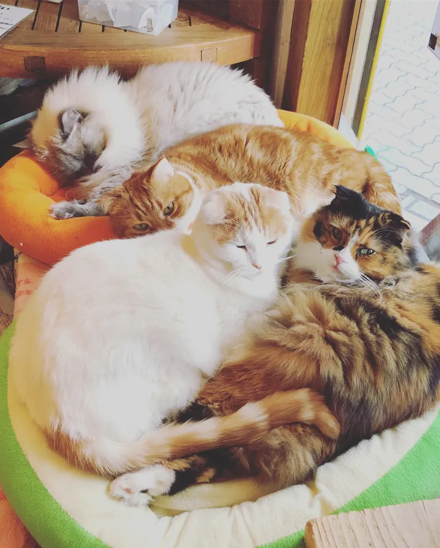 投稿の写真2