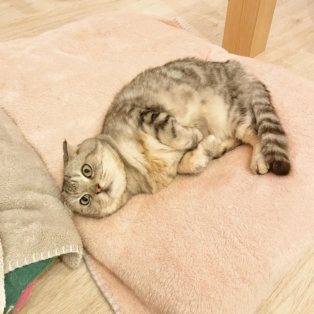 投稿の写真2