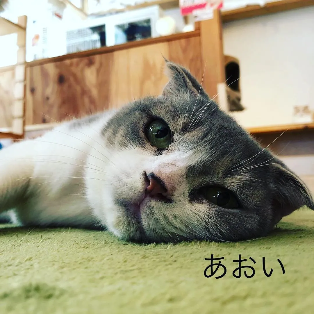 投稿の写真6