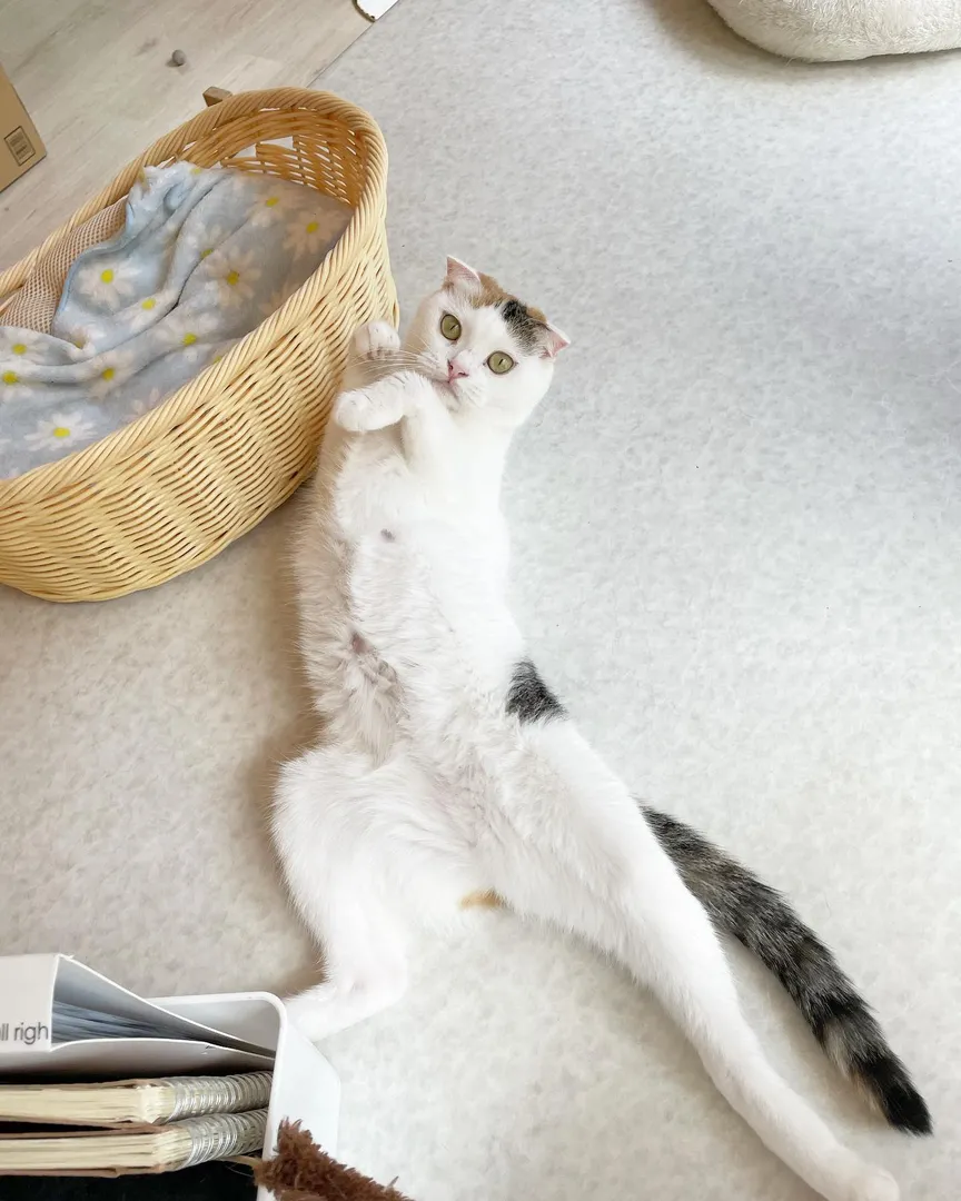 投稿の写真2
