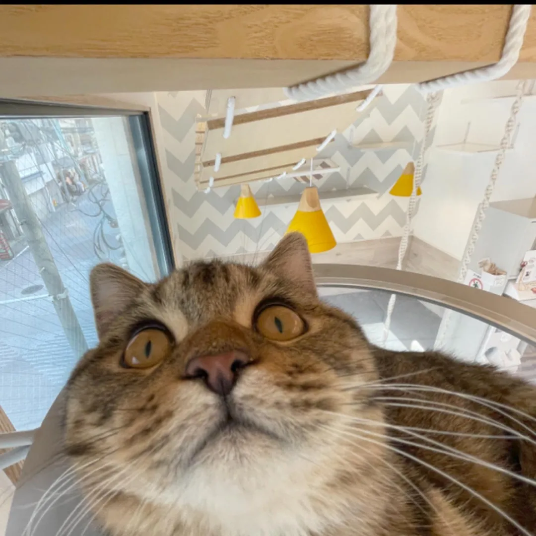 投稿の写真3