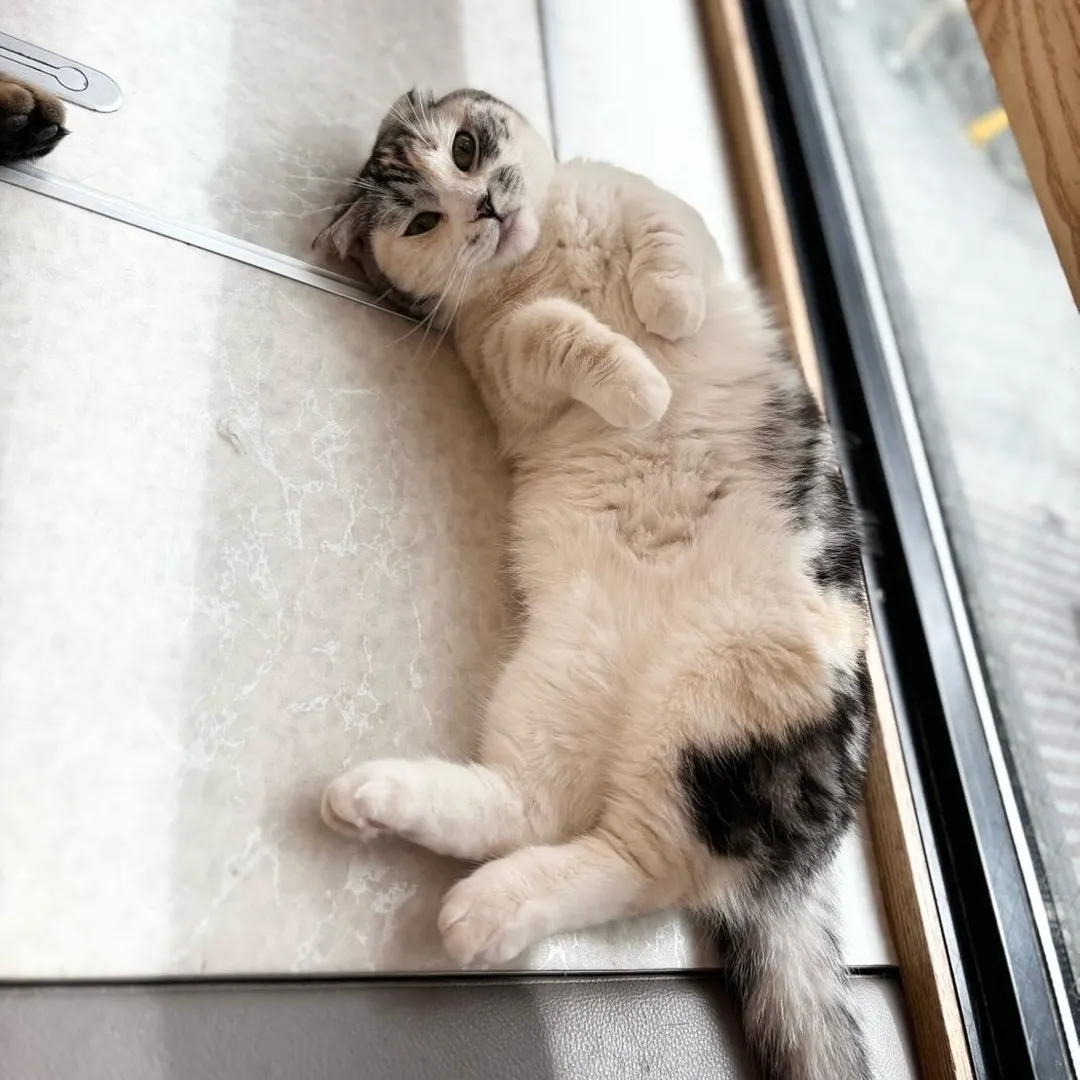 投稿の写真4
