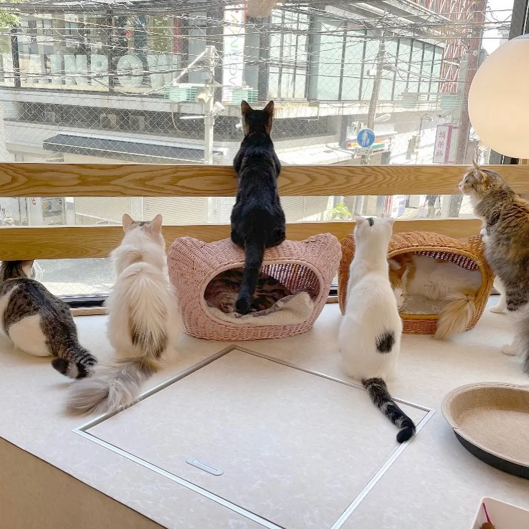 投稿の写真1