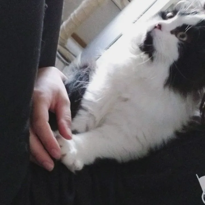 投稿の写真5
