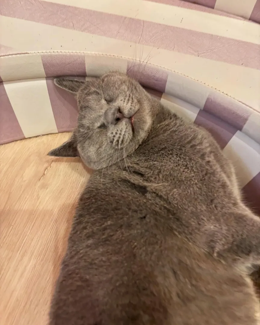 投稿の写真3