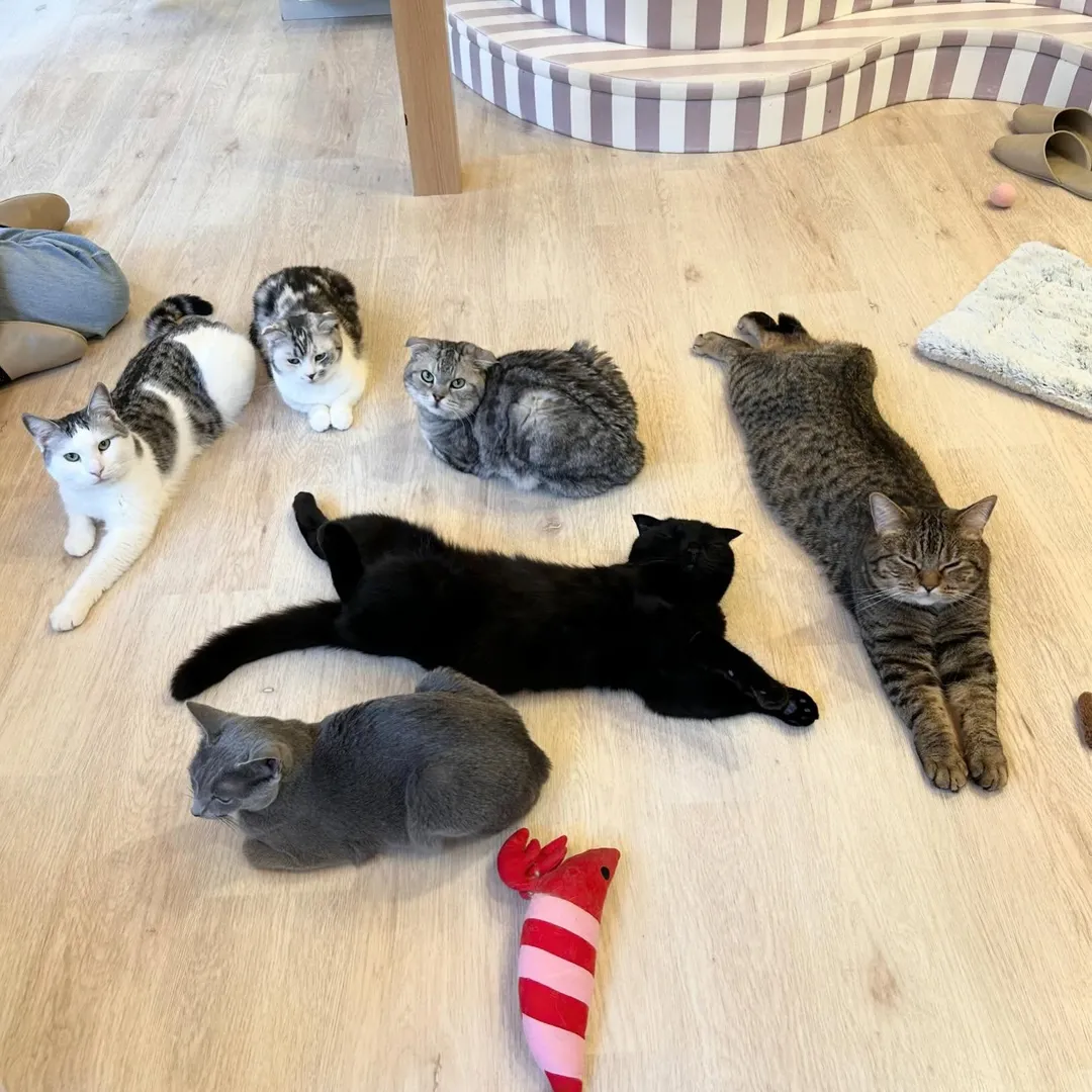 投稿の写真