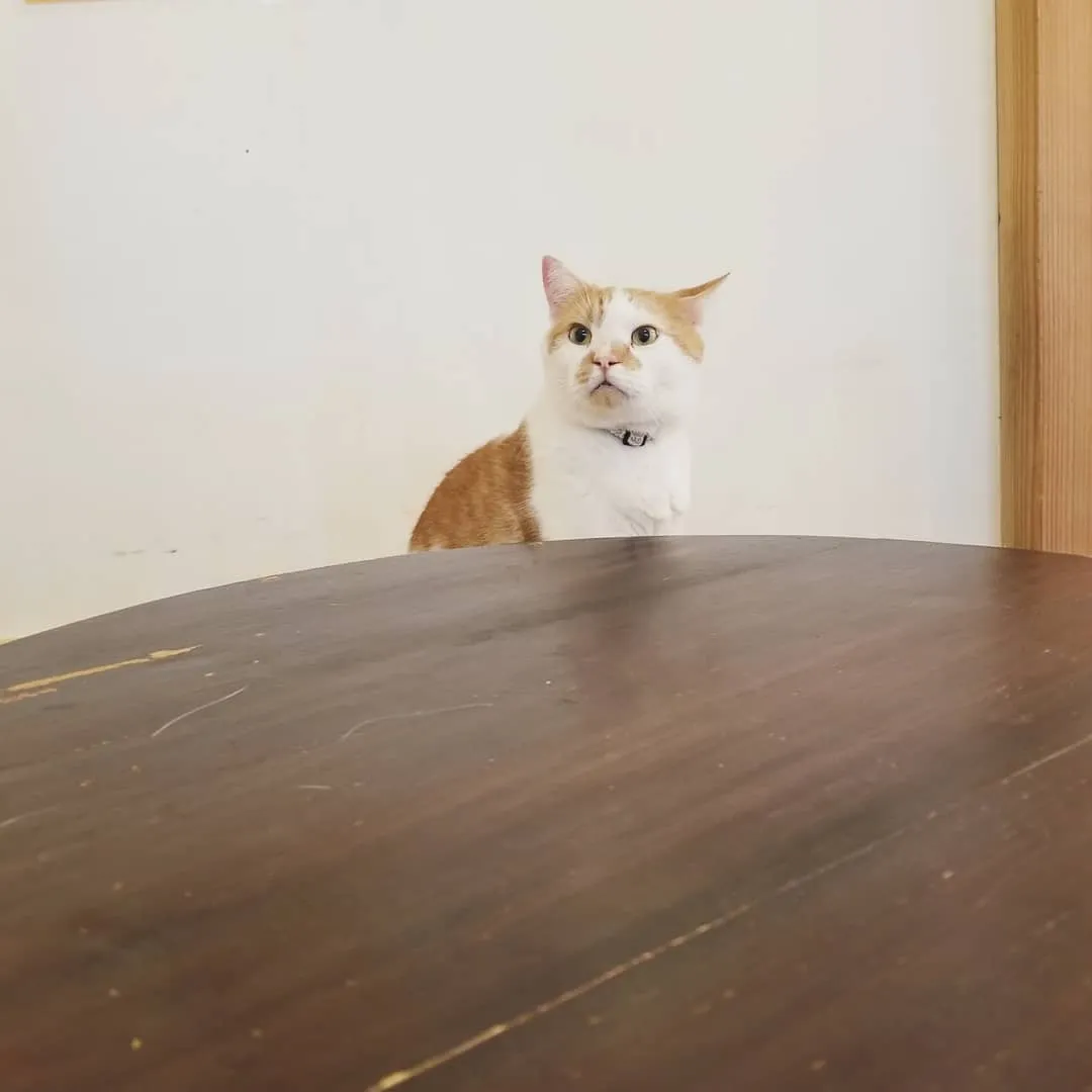 投稿の写真2