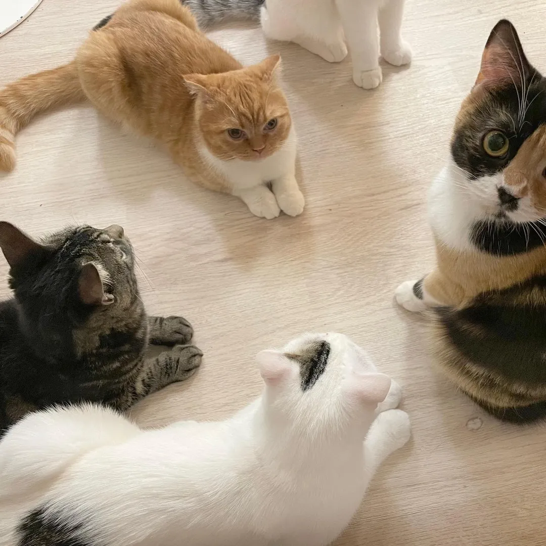 投稿の写真3