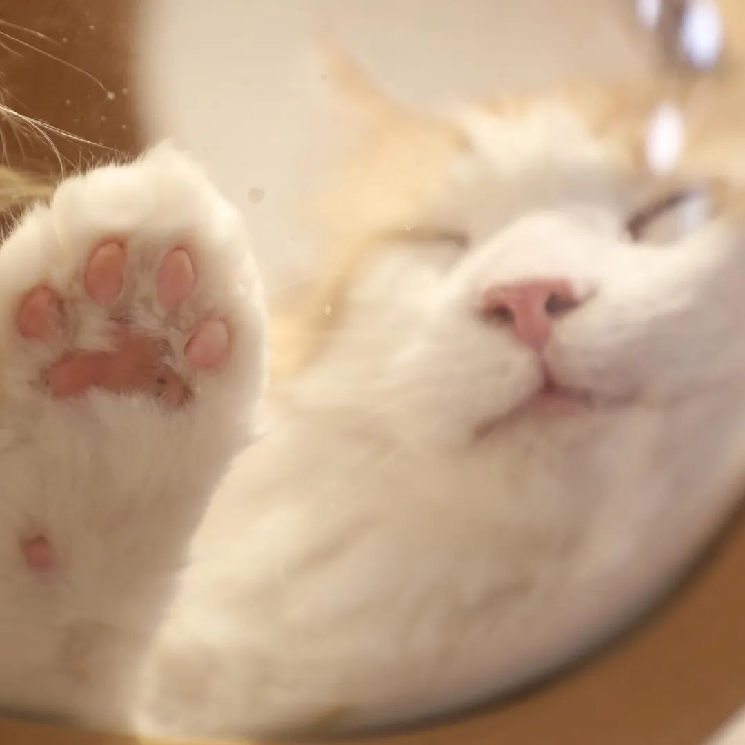 投稿の写真1