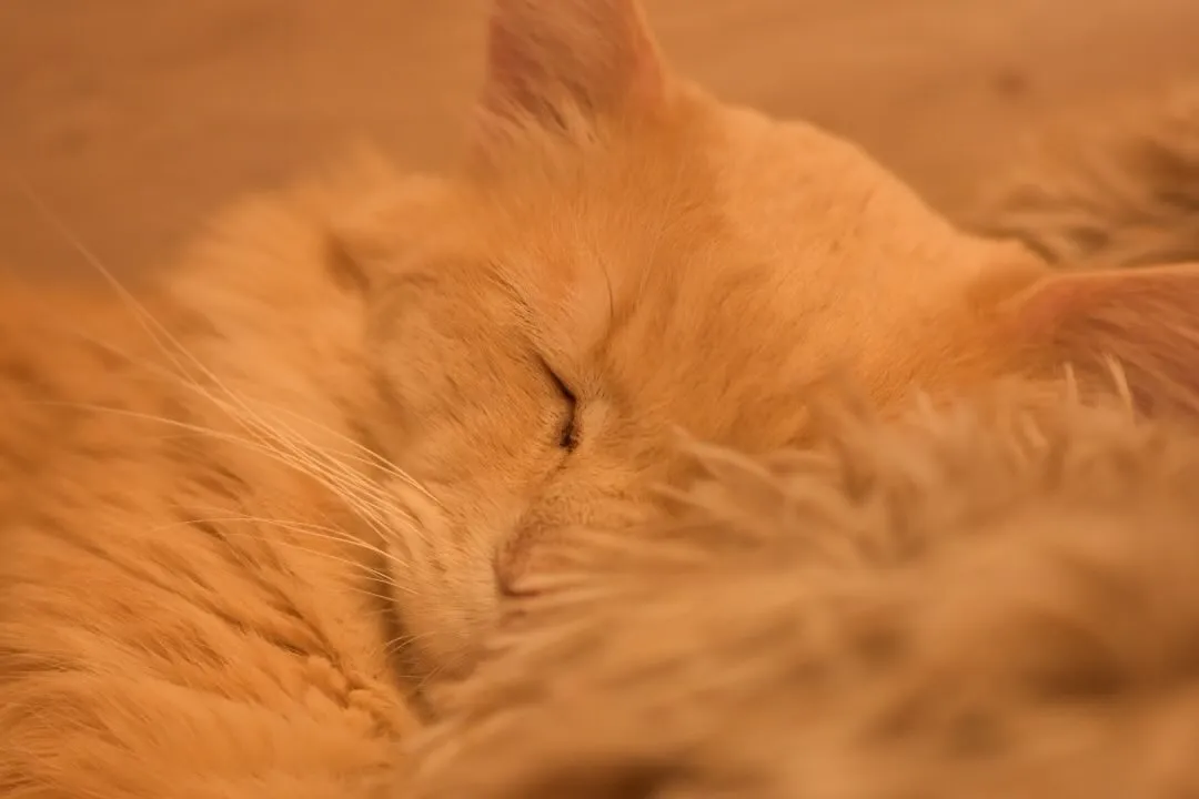 投稿の写真3