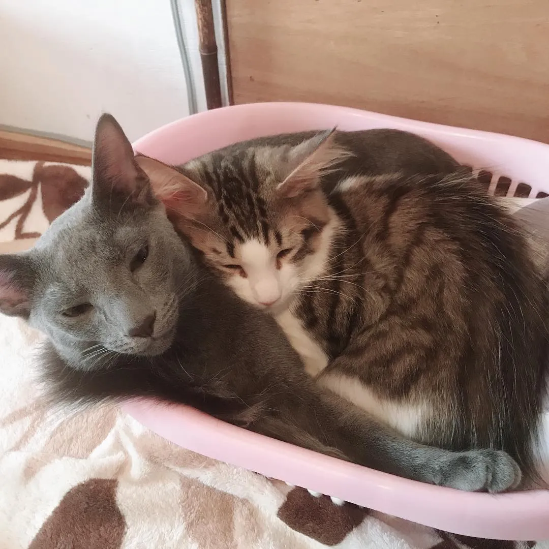 投稿の写真3