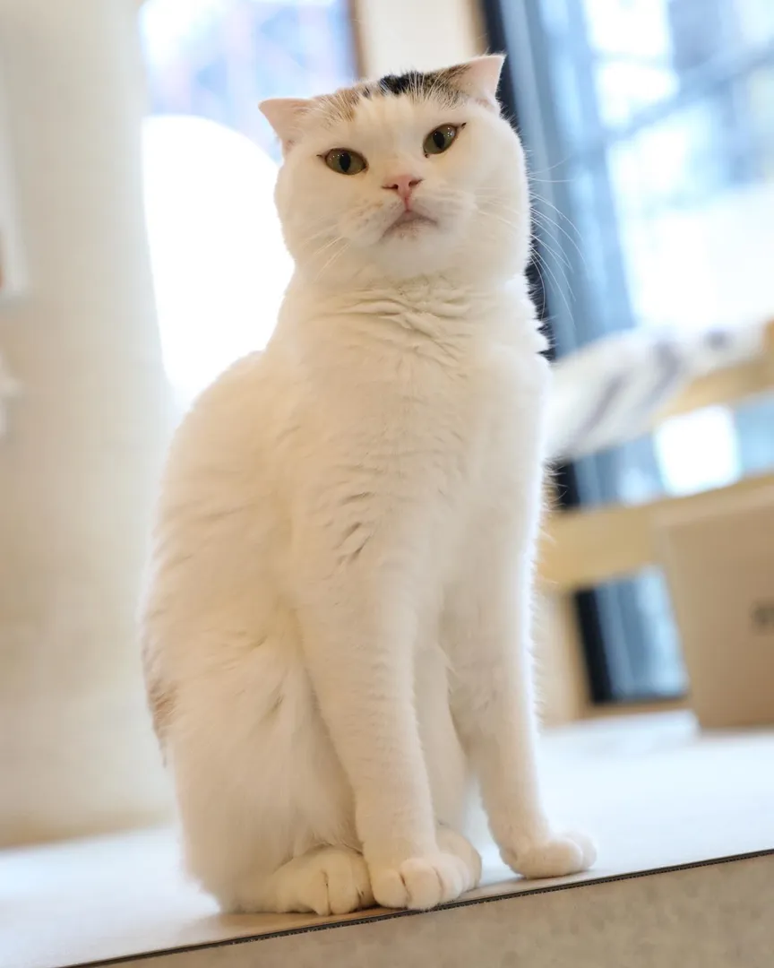 投稿の写真2