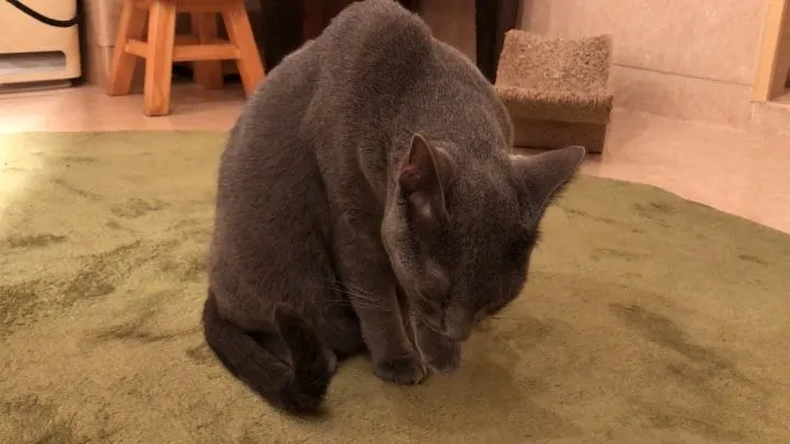 投稿の写真4
