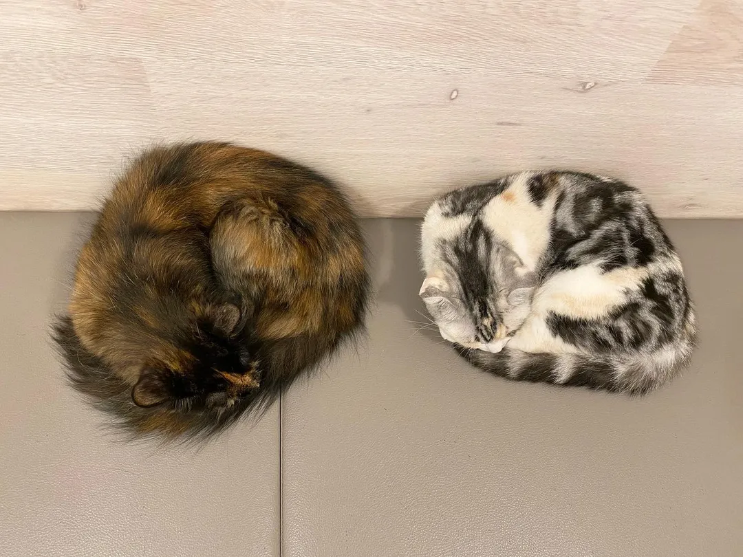 投稿の写真