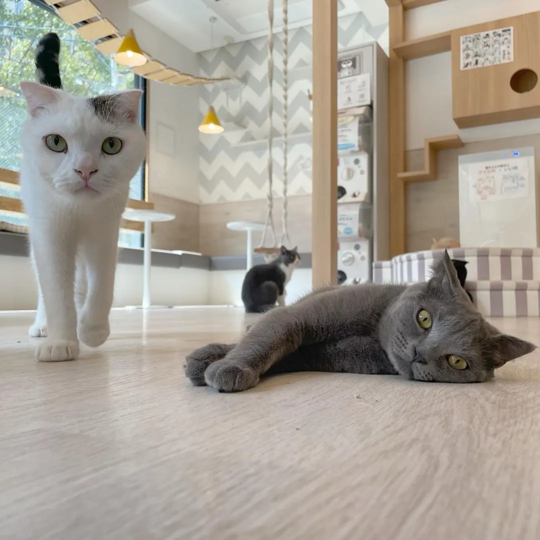 投稿の写真1