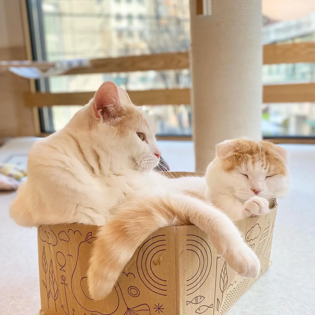 投稿の写真4