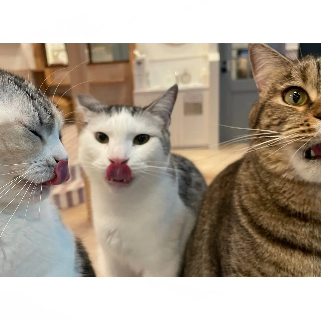投稿の写真2