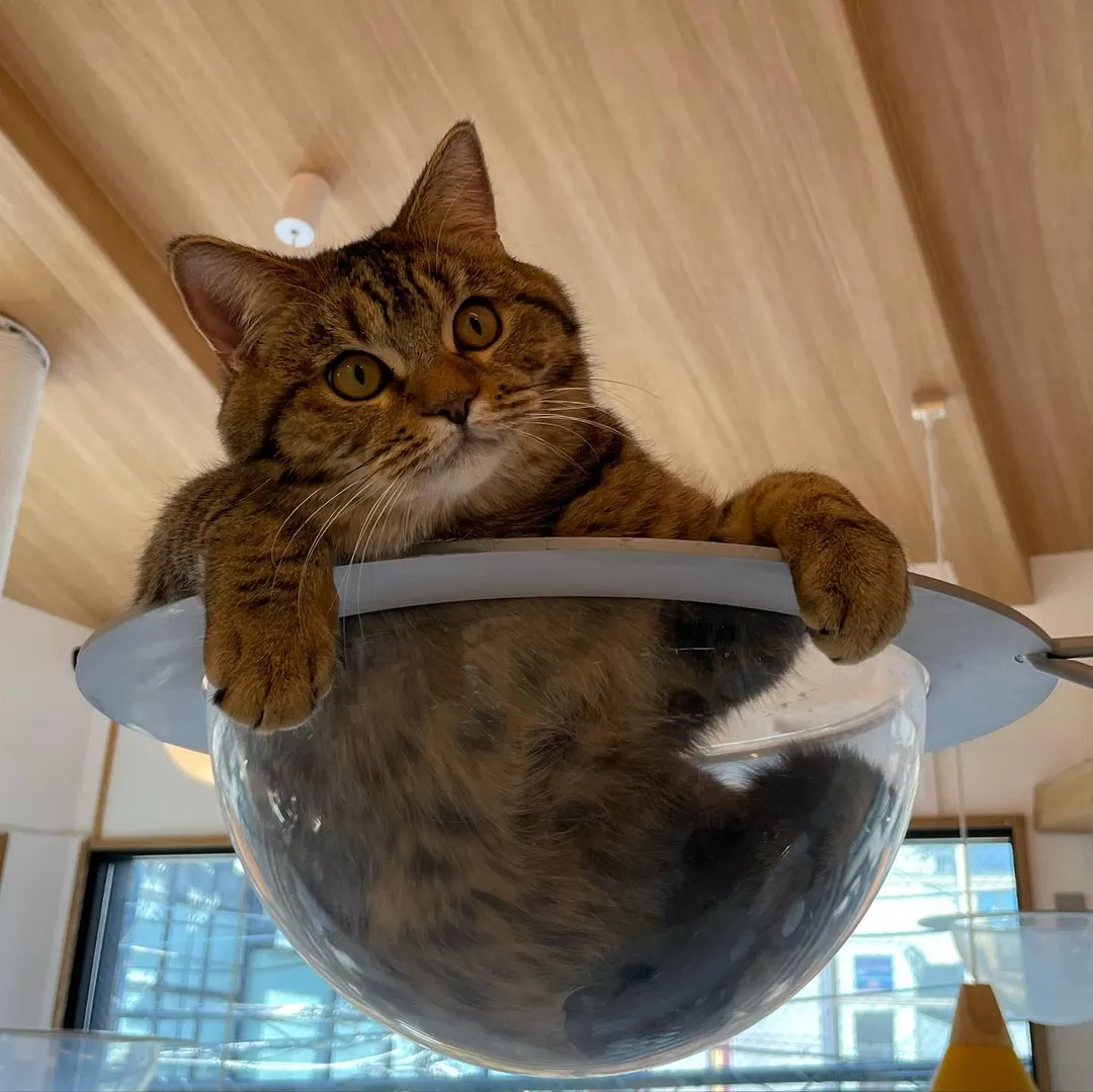 投稿の写真6