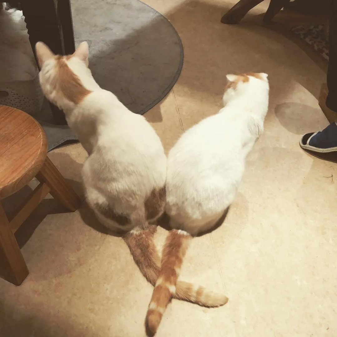 投稿の写真5